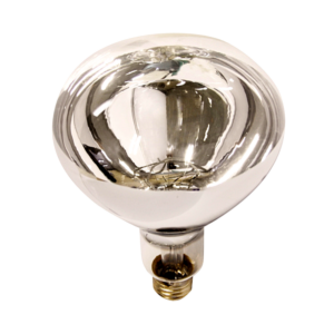 375W ES CLEAR R125 INFRARED REFLECTOR (D) - Image 1