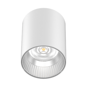 SURFACE MOUNTED LED DOWNLIGHT