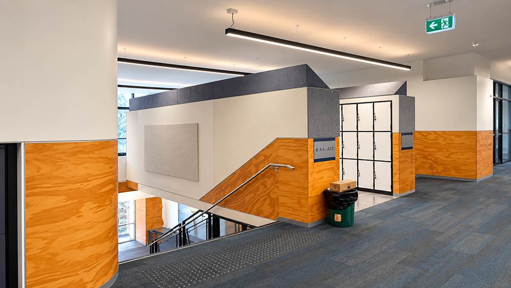Mckinnonn Secondary College Lighting Project